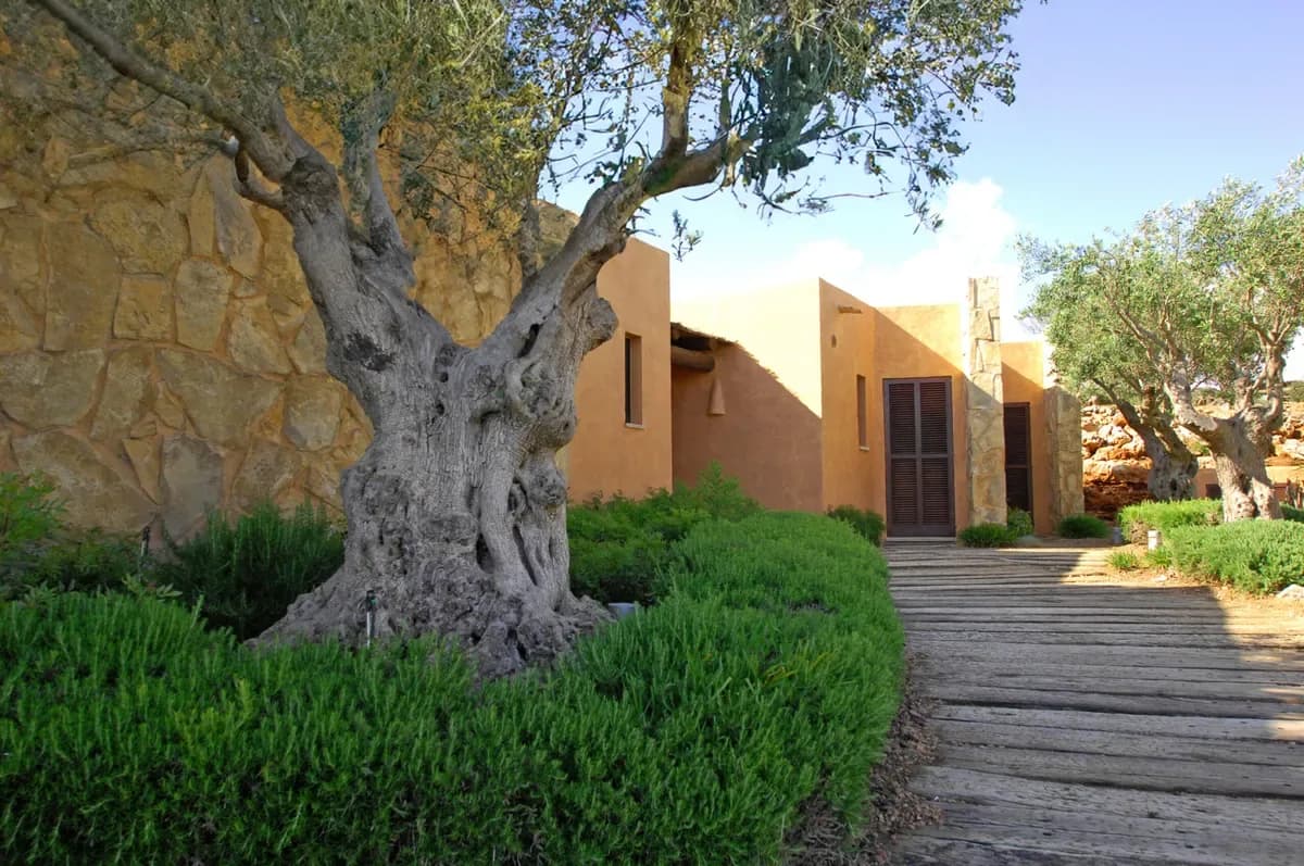 36 bioclimatic houses Predio Sa fua