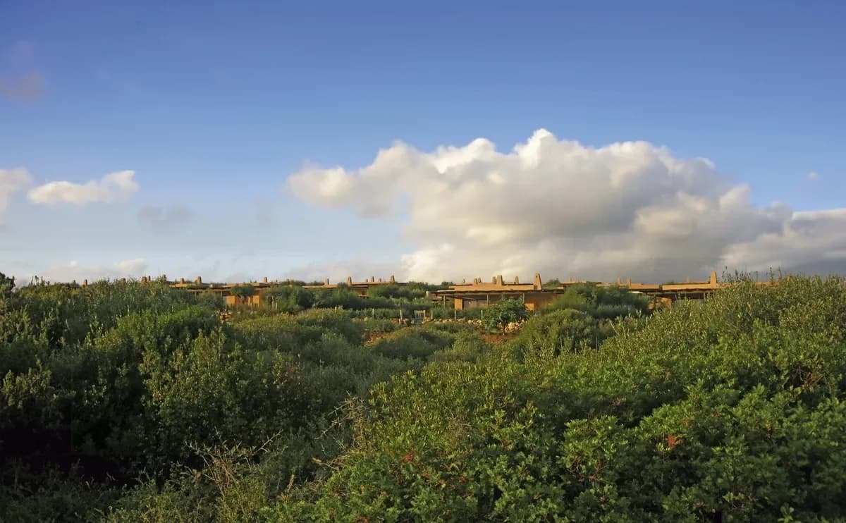 36 bioclimatic houses Predio Sa fua