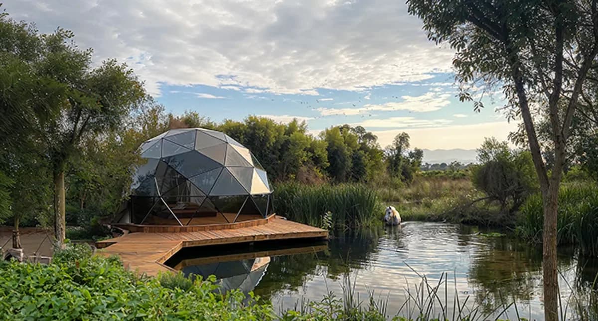 Glamping The Lagoon
