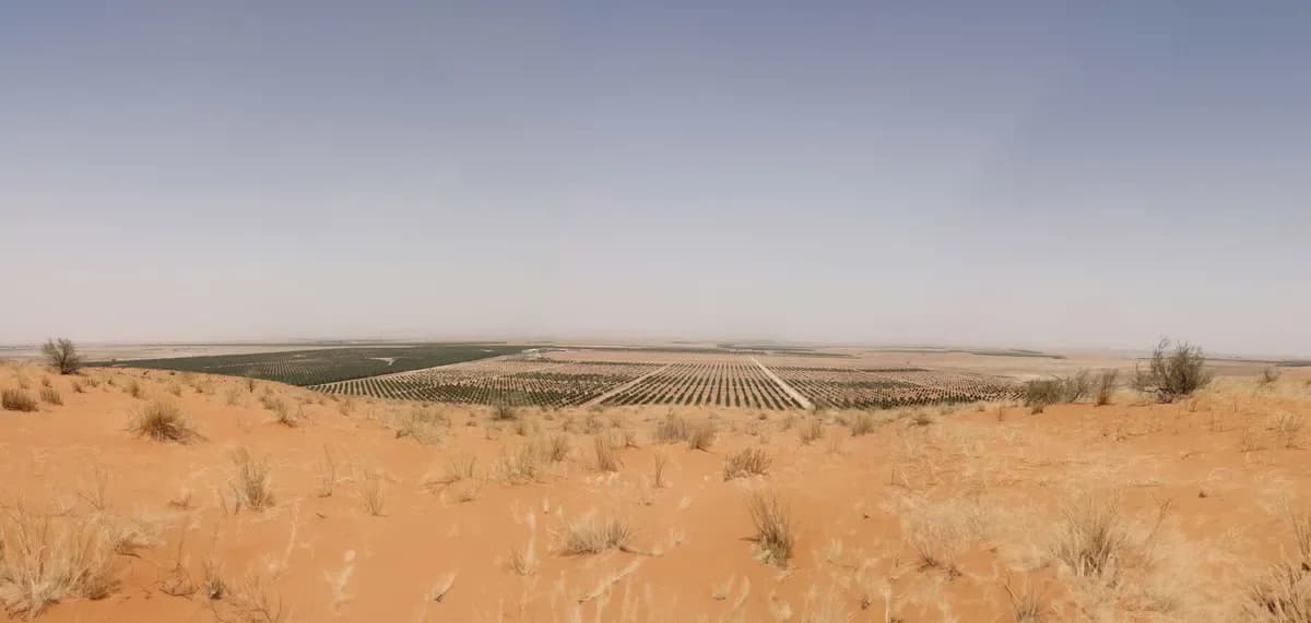 Desert Family Complex
