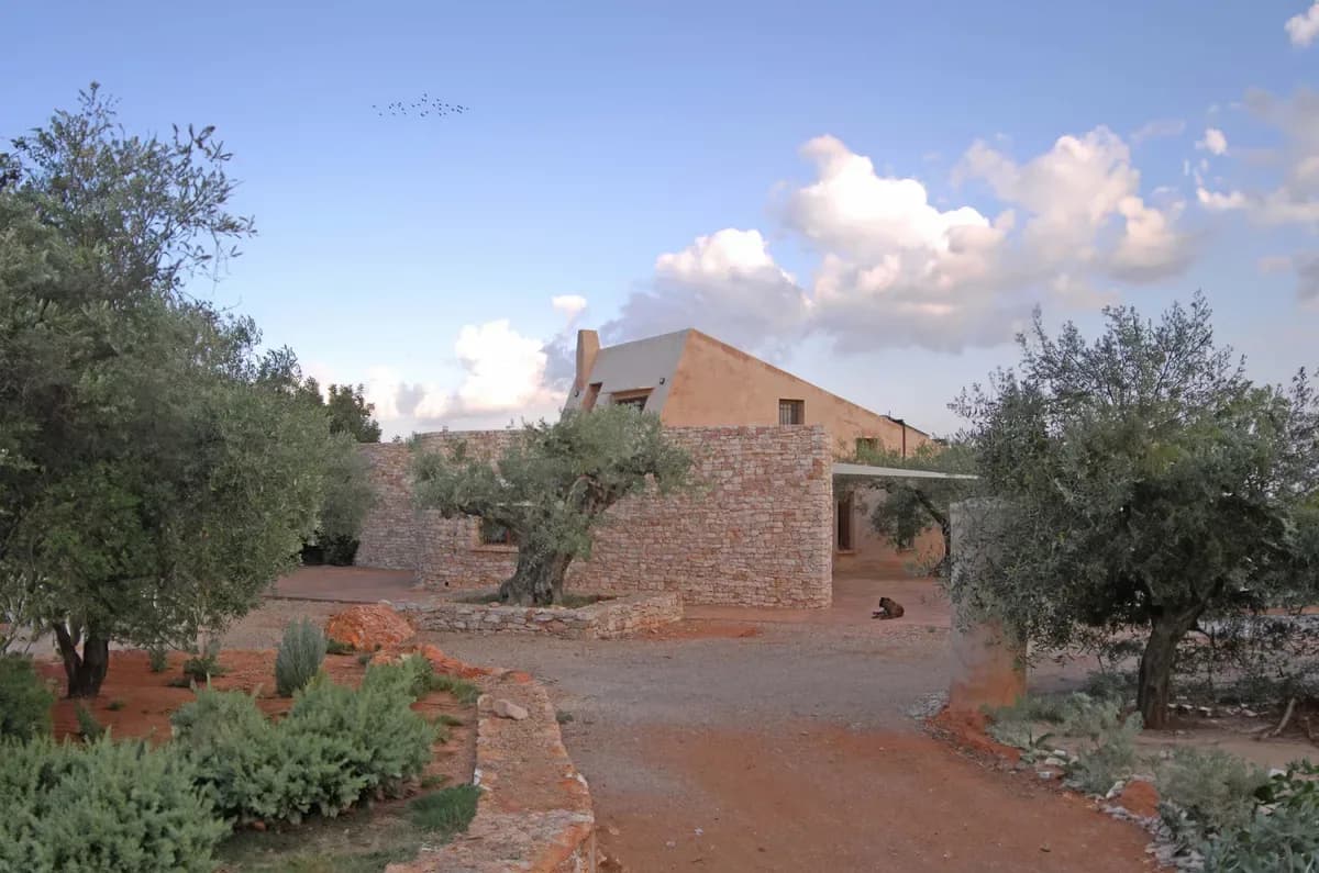Olive farm House