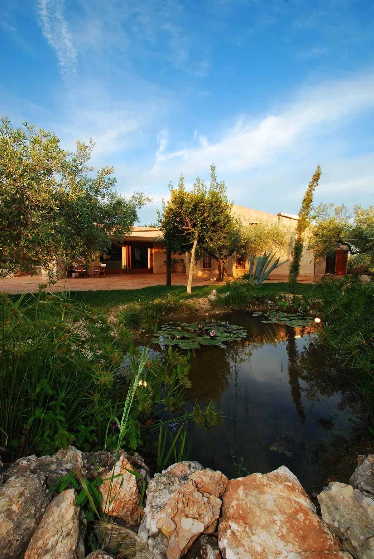 Olive farm House