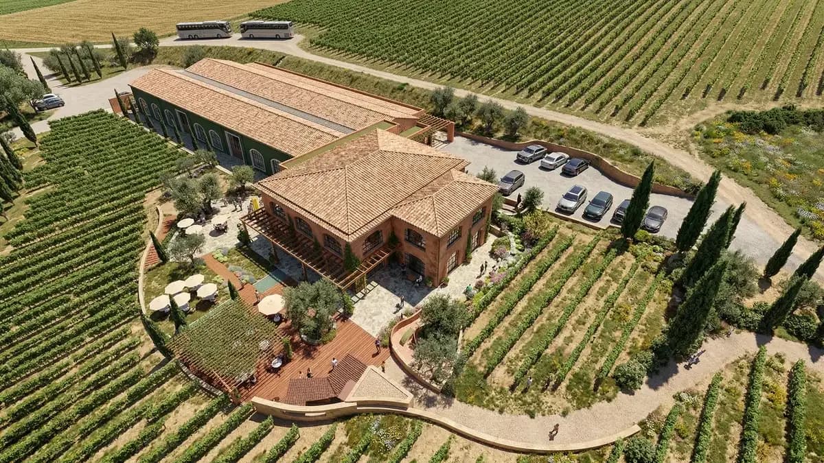 New Wine Center - Bodegas Torres