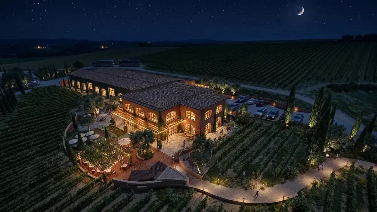 New Wine Center - Bodegas Torres