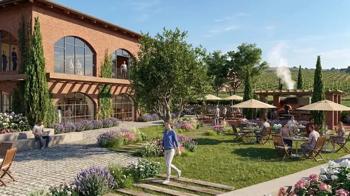 New Wine Center - Bodegas Torres